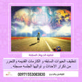 تنظيف الحيوات السابقه